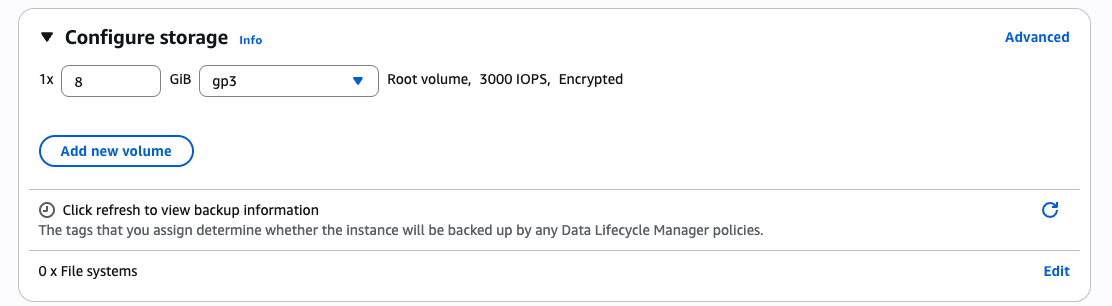 Storage configuration described above, 1x8 GiB gp3 Root volume, 3000 IOPS, Encrypted